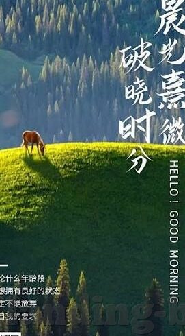 球探比分足球-深度剖析，球探比分在足球世界的数据魔法与实战价值